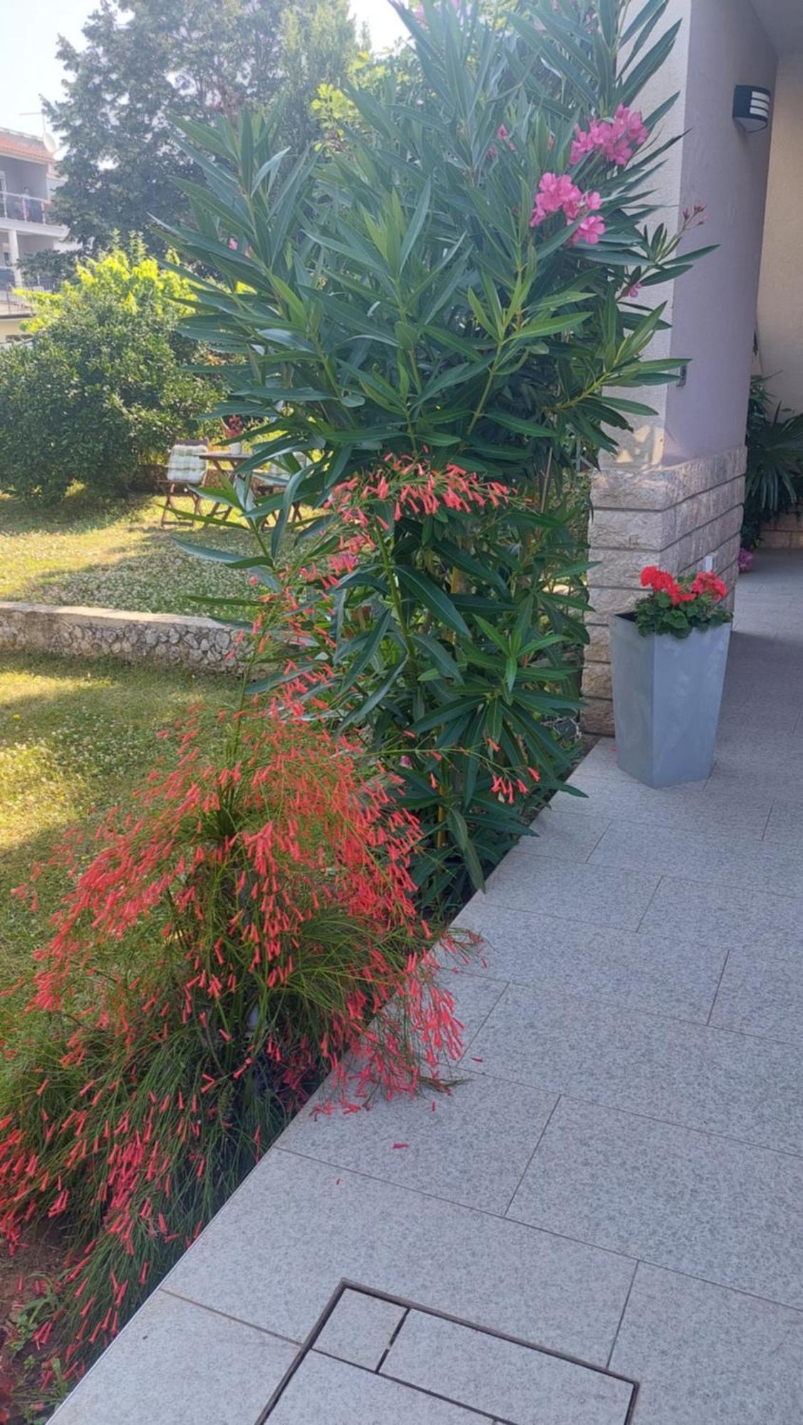 Near The Beach 普拉 外观 照片